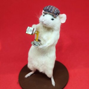 WHISKEY Taxidermy Mouse Whisky, gift, birthday present, teacup, burns night, oddities, curio, curiosities, goth, gothic image 2