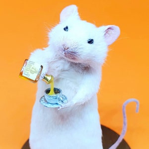 WHISKEY Taxidermy Mouse Whisky, gift, birthday present, teacup, burns night, oddities, curio, curiosities, goth, gothic image 4