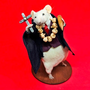 Vampire Hunter Van Helsing Taxidermy mouse Dracula, curiosities image 4