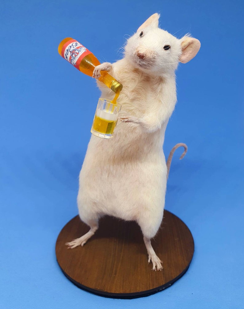 BEER Taxidermy Mouse gift, pint, birthday present, lager, brew, Craft beer, oddities, curio, curiosities, goth, gothic image 4