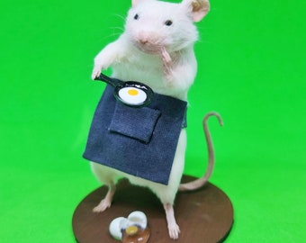 Taxidermy Mouse cook ~ chef, baker, breakfast, oddities, curio, curiosities