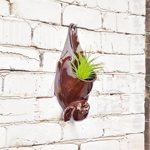 Plant Pot Bat 'FOOL'S GOLD' cottagecore, air plant holder, gothic, goth, Dracula, Vampire, halloween, spooky, horror, House plant image 1