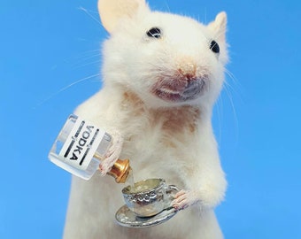VODKA Taxidermy Mouse ~ gift, birthday present, teacup, oddities, curio, curiosities, goth, gothic