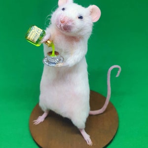 POISON Taxidermy Mouse arsenic, teacup, curio, curiosities, oddities, goth, gothic, potion image 3