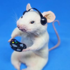 May include: A white mouse wearing black headphones and holding a black video game controller with colorful buttons. The mouse is sitting on a blue background.