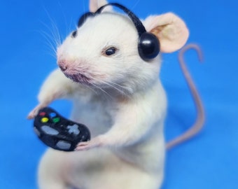 Gamer Taxidermy Mouse ~ with controller and gamer earphones, video games, computer games, oddities, curio, curiosities