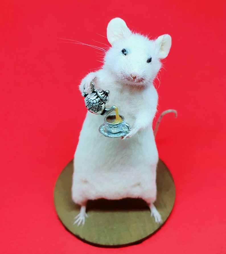 TEA Taxidermy Mouse cottagecore, teapot, cup of tea, British, brew, teabag, oddities, curio, curiosities, goth, gothic, image 2