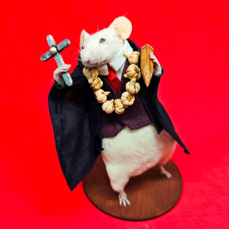Vampire Hunter Van Helsing Taxidermy mouse Dracula, curiosities image 6