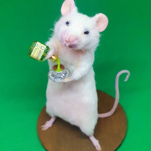 POISON Taxidermy Mouse arsenic, teacup, curio, curiosities, oddities, goth, gothic, potion image 2