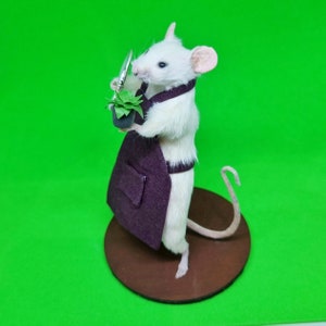 Gardener Taxidermy Mouse gardening, plants, potted plant, oddities, curio, curiosities image 3