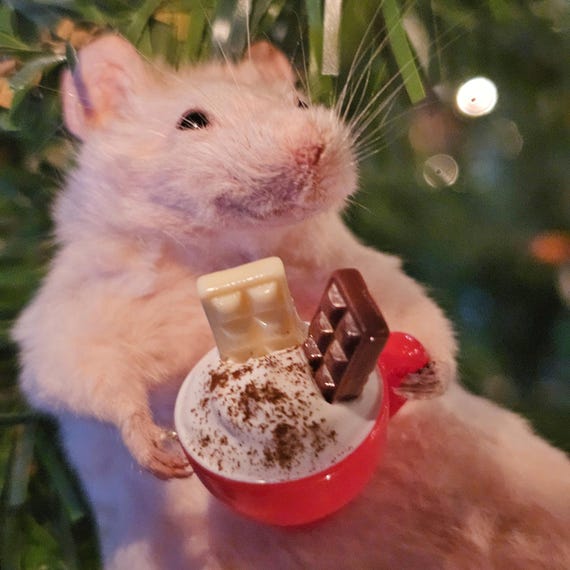 Cosy Hot Chocolate Taxidermy Mouse ~ Oddities, Curio, Curiosities