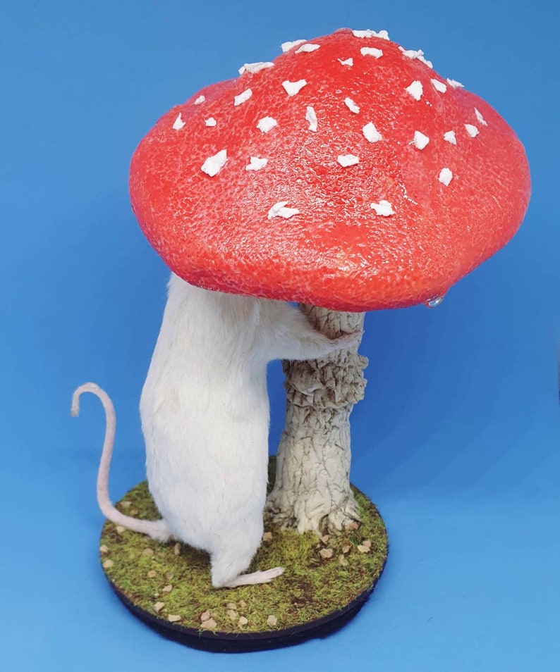 Mushroom Taxidermy Mouse in rain cottagecore, fungus, faeries, fairies, woodland, creatures, oddities, curio, curiosities image 6