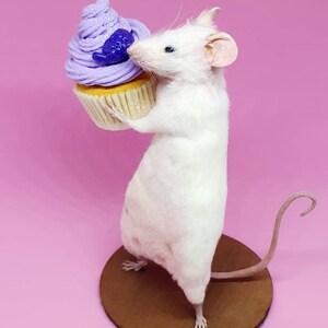 Cake Taxidermy Mouse birthday cake, gift, present, celebrate, celebration, oddities, curio, curiosities, cottagecore image 4