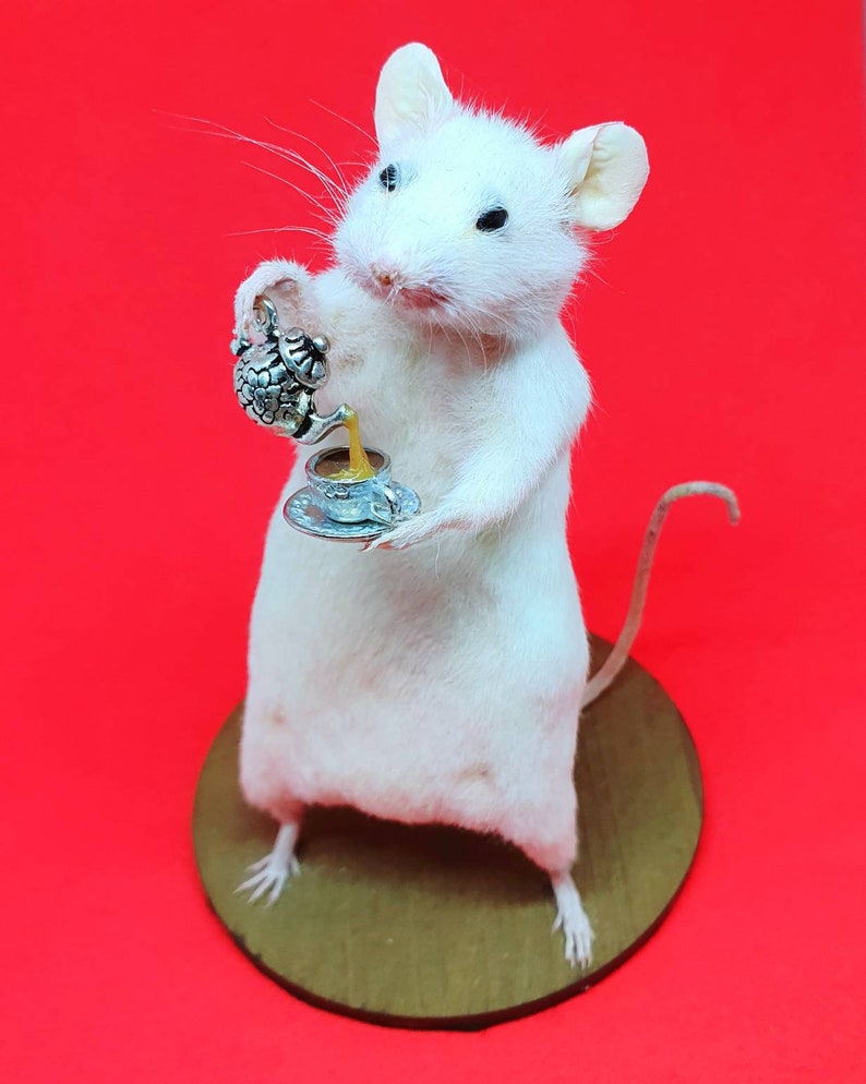 TEA Taxidermy Mouse cottagecore, teapot, cup of tea, British, brew, teabag, oddities, curio, curiosities, goth, gothic, image 5