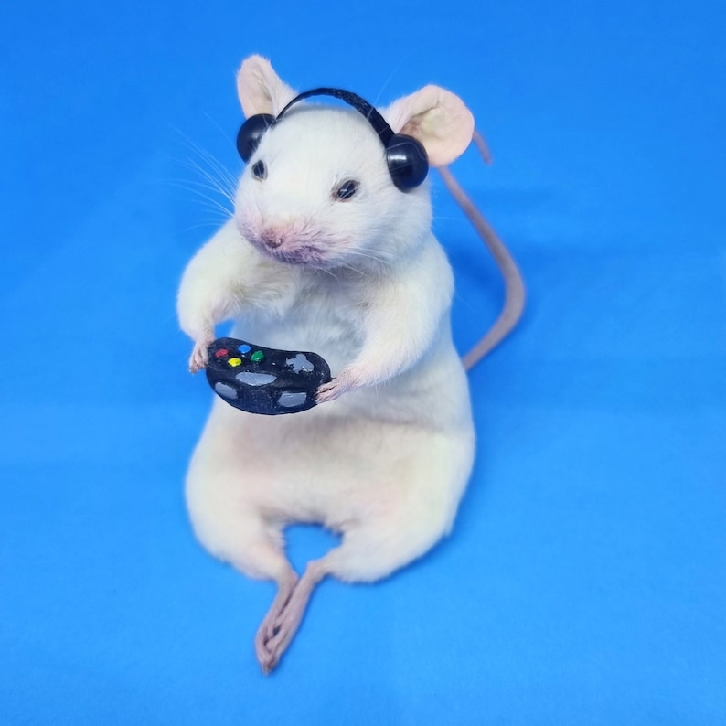 Gamer Taxidermy Mouse with controller and gamer earphones, video games, computer games, oddities, curio, curiosities image 5