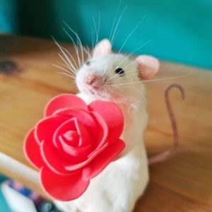 Romantic Taxidermy Mouse with rose plant, gift present, valentine, flowers, indoor, plant, garden, gardener, oddities, curio, curiosities image 1