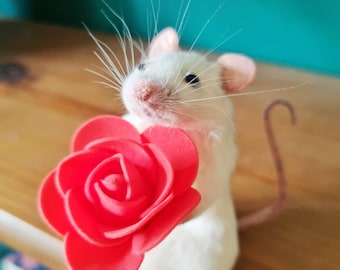 Romantic Taxidermy Mouse with rose ~ plant, gift present, valentine, flowers, indoor, plant, garden, gardener, oddities, curio, curiosities