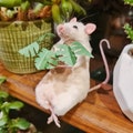 taxidermy Mouse with Monstera, house plant decoration
