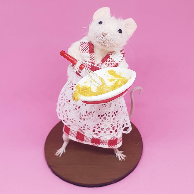 Baker Taxidermy Mouse gift, cooking, curio, curiosities, oddities, Great British Bake Off, Great British Baking Show image 2