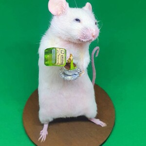 POISON Taxidermy Mouse arsenic, teacup, curio, curiosities, oddities, goth, gothic, potion image 5