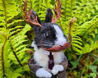 Jackalope ~ Taxidermy Bunny, curio and oddities.