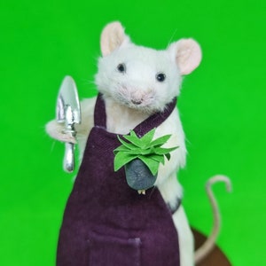 Gardener Taxidermy Mouse gardening, plants, potted plant, oddities, curio, curiosities image 2