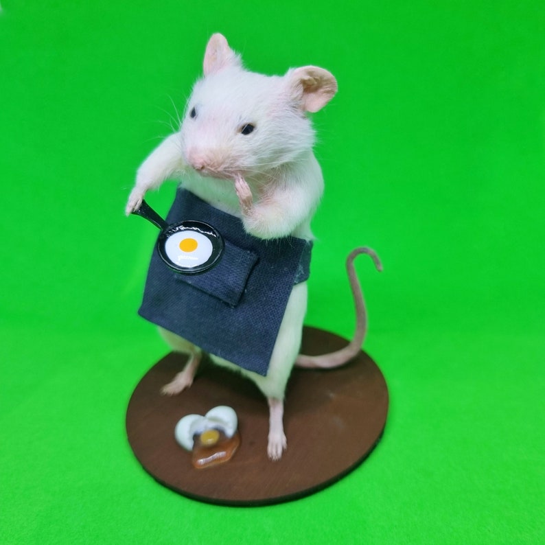 Chef Cook Taxidermy Mouse baker, breakfast, oddities, curio, curiosities image 4