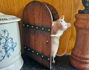 Fairy door Taxidermy mouse ~ cottagecore, witch, crystal, wiccan, faeries, fairies, oddities, curiosities, magic