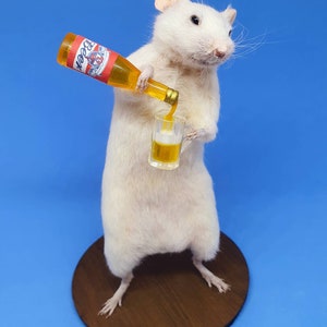 BEER Taxidermy Mouse gift, pint, birthday present, lager, brew, Craft beer, oddities, curio, curiosities, goth, gothic image 2