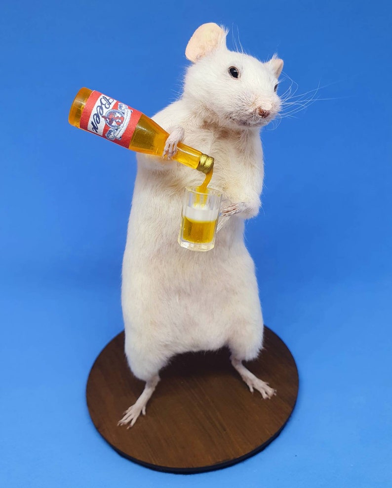 BEER Taxidermy Mouse gift, pint, birthday present, lager, brew, Craft beer, oddities, curio, curiosities, goth, gothic image 2