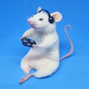 Gamer Taxidermy Mouse with controller and gamer earphones, video games, computer games, oddities, curio, curiosities image 3