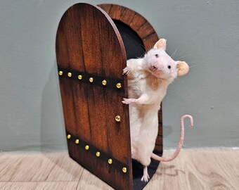 Fairy door Taxidermy mouse ~ cottagecore, witch, crystal, wiccan, faeries, fairies, oddities, curiosities, magic