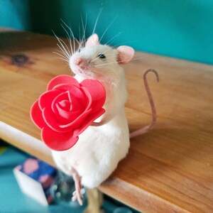 Romantic Taxidermy Mouse with rose plant, gift present, valentine, flowers, indoor, plant, garden, gardener, oddities, curio, curiosities image 2