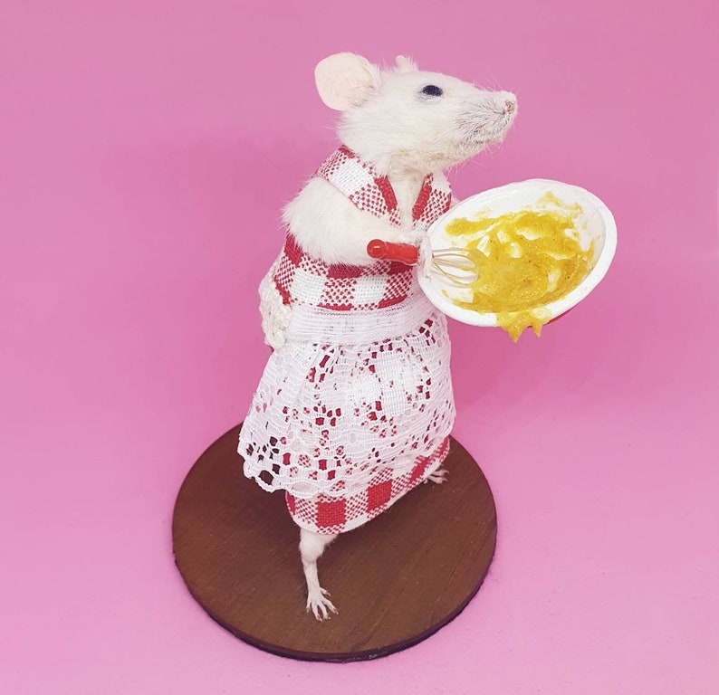 Baker Taxidermy Mouse gift, cooking, curio, curiosities, oddities, Great British Bake Off, Great British Baking Show image 3