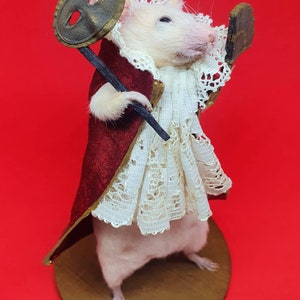 Masquerade Taxidermy mouse venetian mask, fan, Venice, oddities, curio, curiosities, Labyrinth, gothic, goth image 5