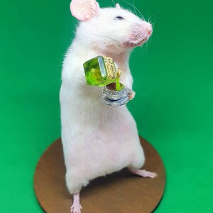 POISON Taxidermy Mouse arsenic, teacup, curio, curiosities, oddities, goth, gothic, potion image 4