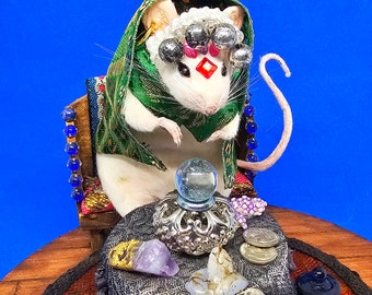 Fortune Teller Taxidermy mouse ~ cottagecore, witch, crystal, wiccan, fairy, faeries, fairies, oddities, curiosities, magic