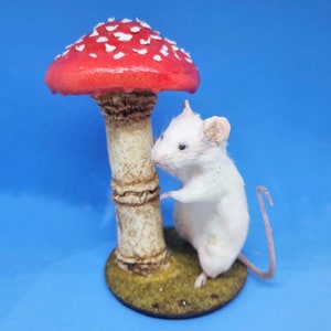Mushroom Taxidermy Mouse in rain cottagecore, fungus, faeries, fairies, woodland, creatures, oddities, curio, curiosities 画像 2