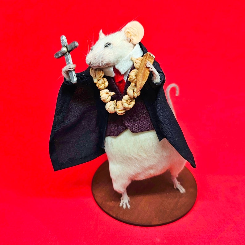 Vampire Hunter Van Helsing Taxidermy mouse Dracula, curiosities image 2