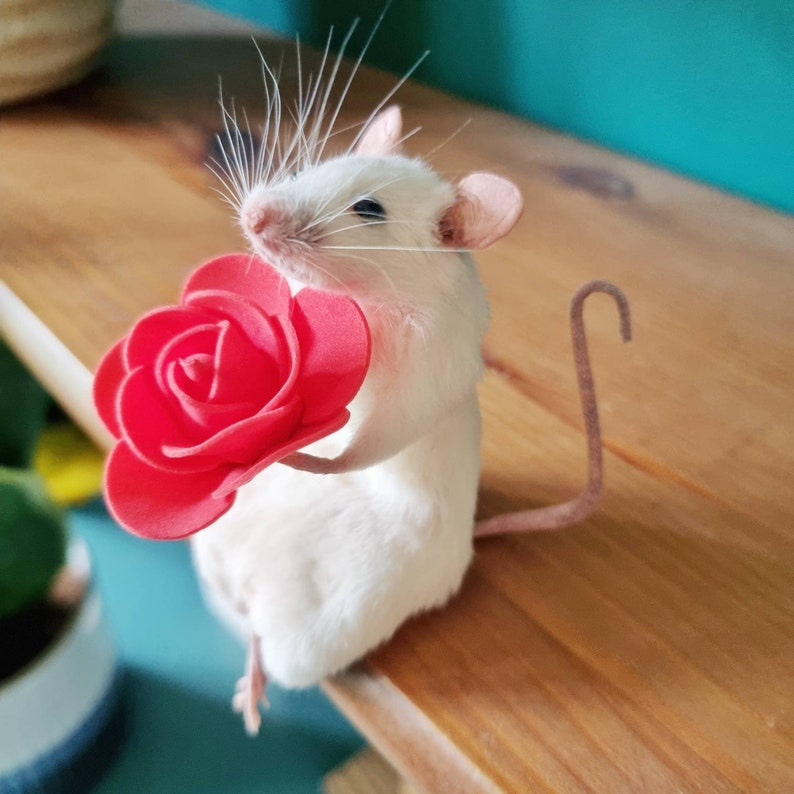 Romantic Taxidermy Mouse with rose plant, gift present, valentine, flowers, indoor, plant, garden, gardener, oddities, curio, curiosities image 4