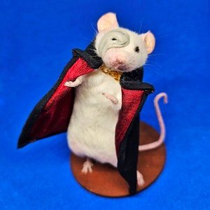 Phantom of the Opera Taxidermy mouse theatre, west end, broadway, musical, Ghost, oddities, curio, curiosities, goth, gothic image 3