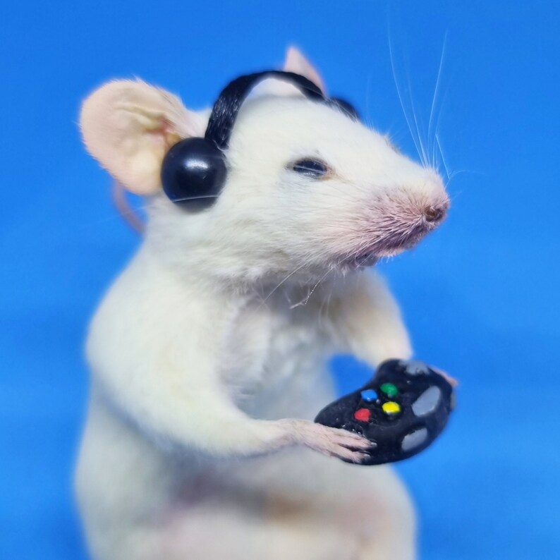 Gamer Taxidermy Mouse with controller and gamer earphones, video games, computer games, oddities, curio, curiosities image 2