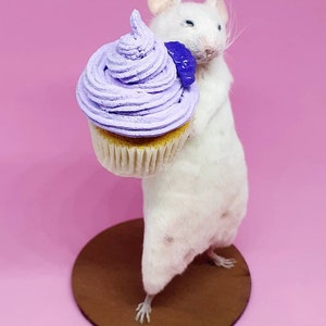 Cake Taxidermy Mouse birthday cake, gift, present, celebrate, celebration, oddities, curio, curiosities, cottagecore image 3