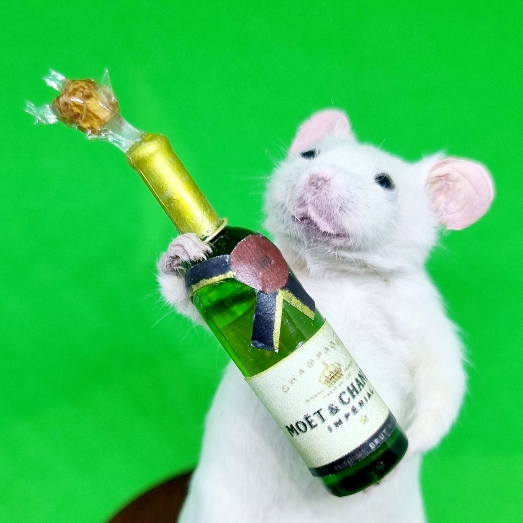 CHAMPAGNE Taxidermy Mouse ~ Celebration, Gift, Birthday Present ...