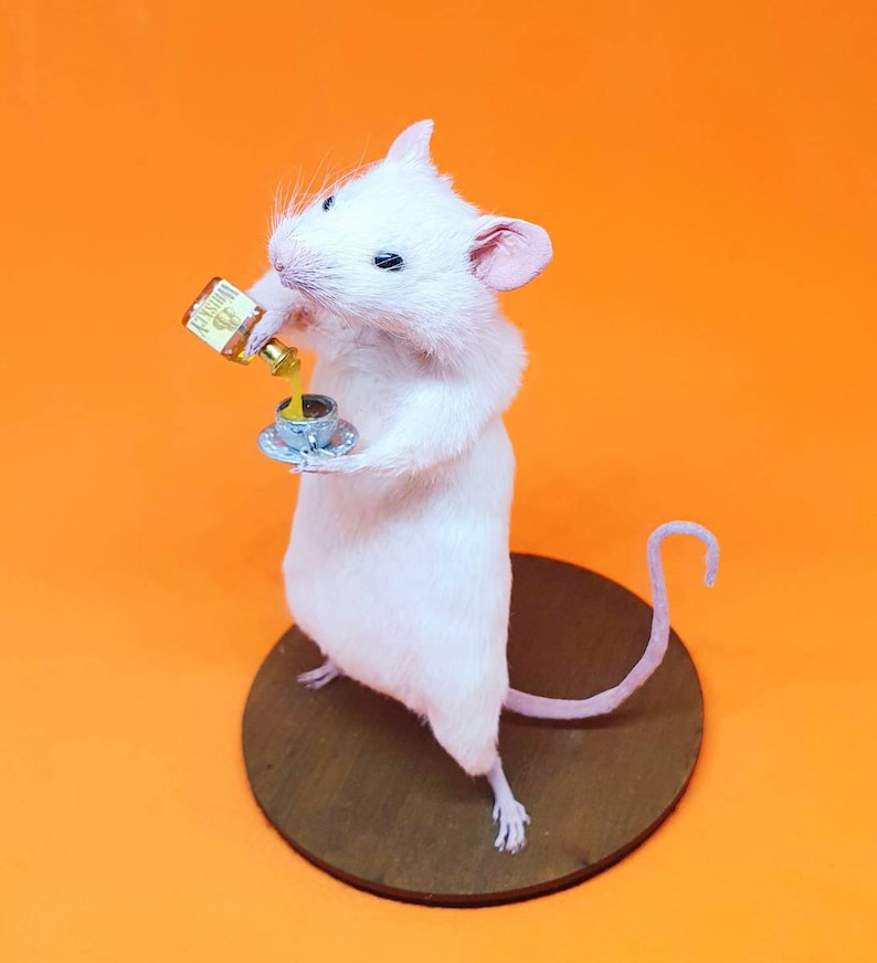 WHISKEY Taxidermy Mouse Whisky, gift, birthday present, teacup, burns night, oddities, curio, curiosities, goth, gothic image 8