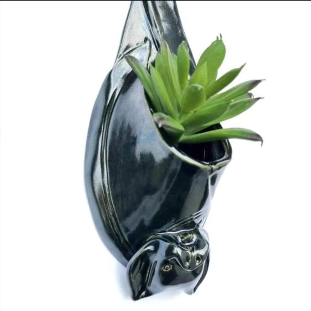 Nosferatu Bat Plant Pot ~ for Airplants, Small Plants ~ Dracula ...