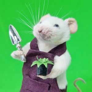 May include: A white mouse wearing a purple apron and holding a small silver trowel and a potted green plant against a bright green background. The mouse has pink ears and a pink nose.