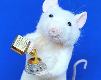 RUM Taxidermy Mouse ~ gift, birthday present, teacup, Jamaican rum, oddities, curio, curiosities, goth, gothic