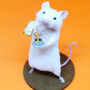 WHISKEY Taxidermy Mouse Whisky, gift, birthday present, teacup, burns night, oddities, curio, curiosities, goth, gothic image 5
