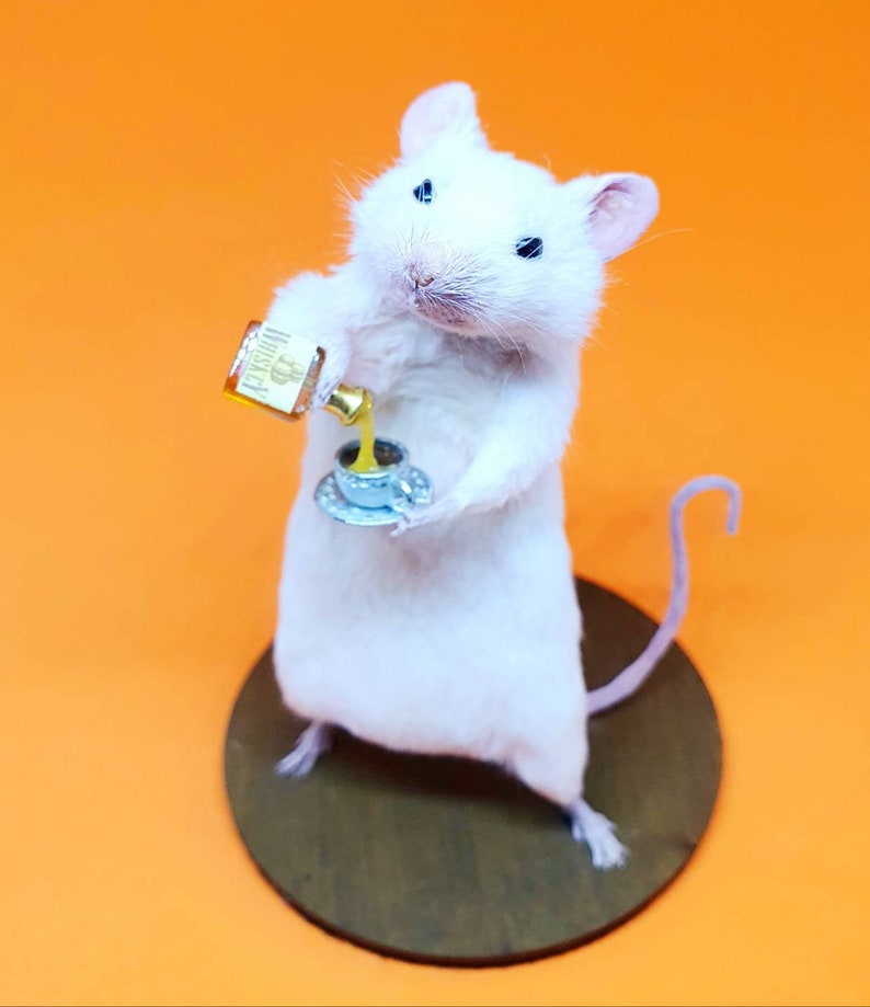 WHISKEY Taxidermy Mouse Whisky, gift, birthday present, teacup, burns night, oddities, curio, curiosities, goth, gothic image 5